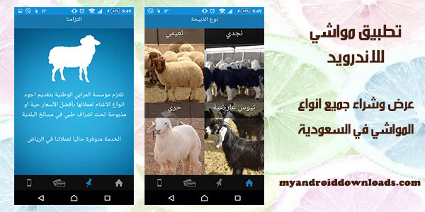 تحميل تطبيق مواشي للاندرويد Livestock برنامج سوق الحلال عربي 