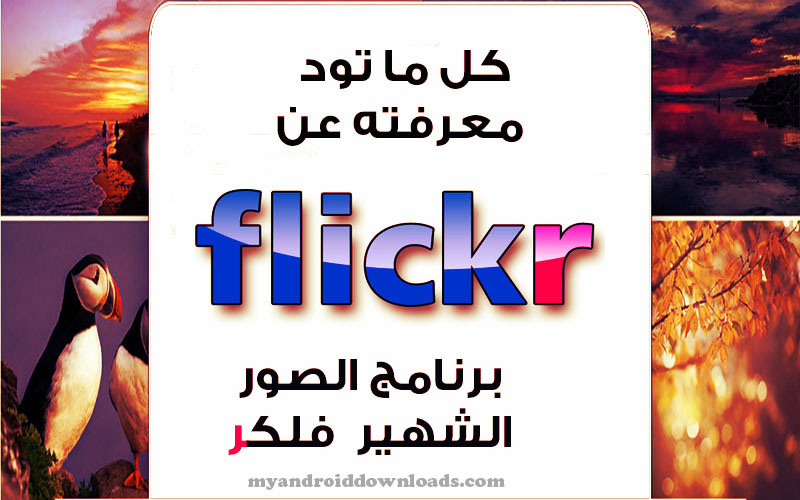 ماهو برنامج flickr للصور كل ما تود معرفته عن فلكر شرح وافي ومفصل