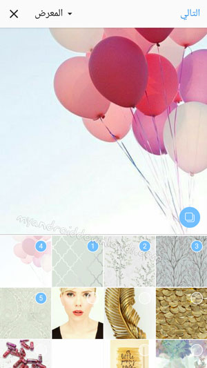 اختيار صور لانشاء البوم - طريقة استخدام انستقرام على الكمبيوتر والاندرويد