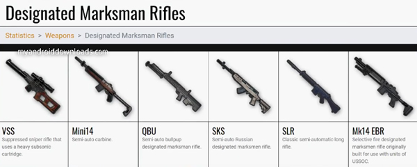 Designted Marksman Rifes