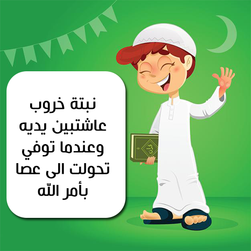 اسئلة اطفال سهلة واجوبتها