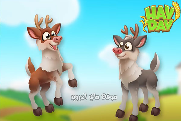 تحدث hay day 2021 اخر اصدار للاندرويد برابط مباشر