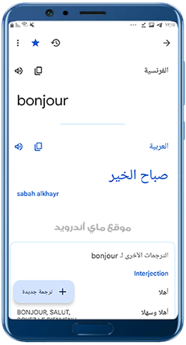 ترجمة من الفرنسية إلى العربية بالكتابة