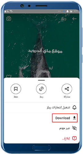 تنزيل ريلز انستقرام في نسخة انستا برو