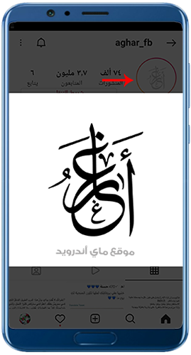 تكبير صورة البروفايل في bt insta انستقرام البطريق الذهبي