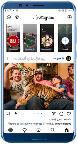 القصص المربعة في انستقرام البطريق bt insta
