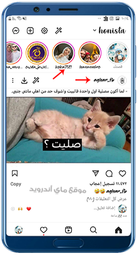 شكل خطوط هونيستا بعد تطبيقها