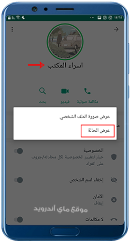 عرض الحالات بعد تحميل gbwhatsapp3