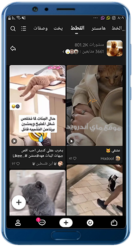 الحلقات في برنامج لايكي أحدث نسخة 2023