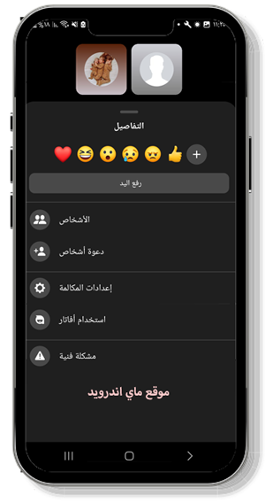 خيارات عديدة في المكالمات الصوتية في الماسنجر