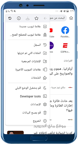 خيارات عديدة في براوزر كيوي 