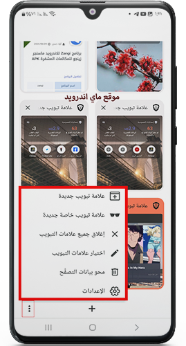 خيارات للتصفح الآمن في متصفح بريف 