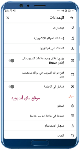 اعدادات بعد تحميل متصفح بريف للاندرويد 