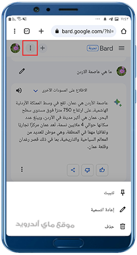 خيارات التحكم في محادثات Bard AI chatbot