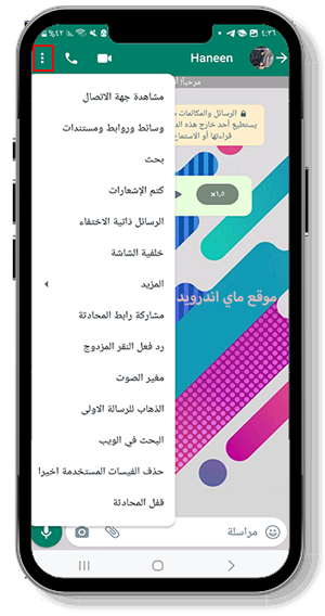خيارات اضافية في محادثة الواتساب الاخضر عمر 4