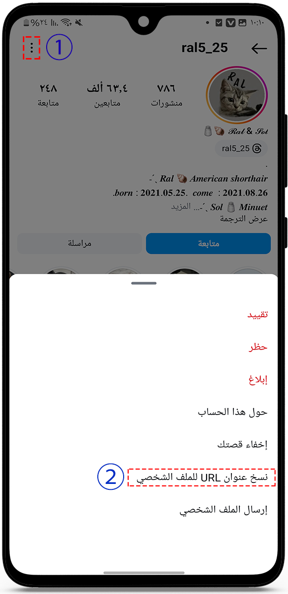 نسخ رابط الملف الشخصي في الانستقرام 